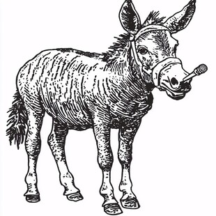 湮灭者首领 - 香蕉视频反派角色